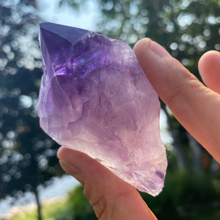 AAA Rough Amethyst Single Terminated Crystal (Item 11)