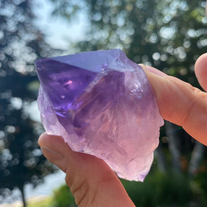 AAA Rough Amethyst Single Terminated Crystal (Item 11)