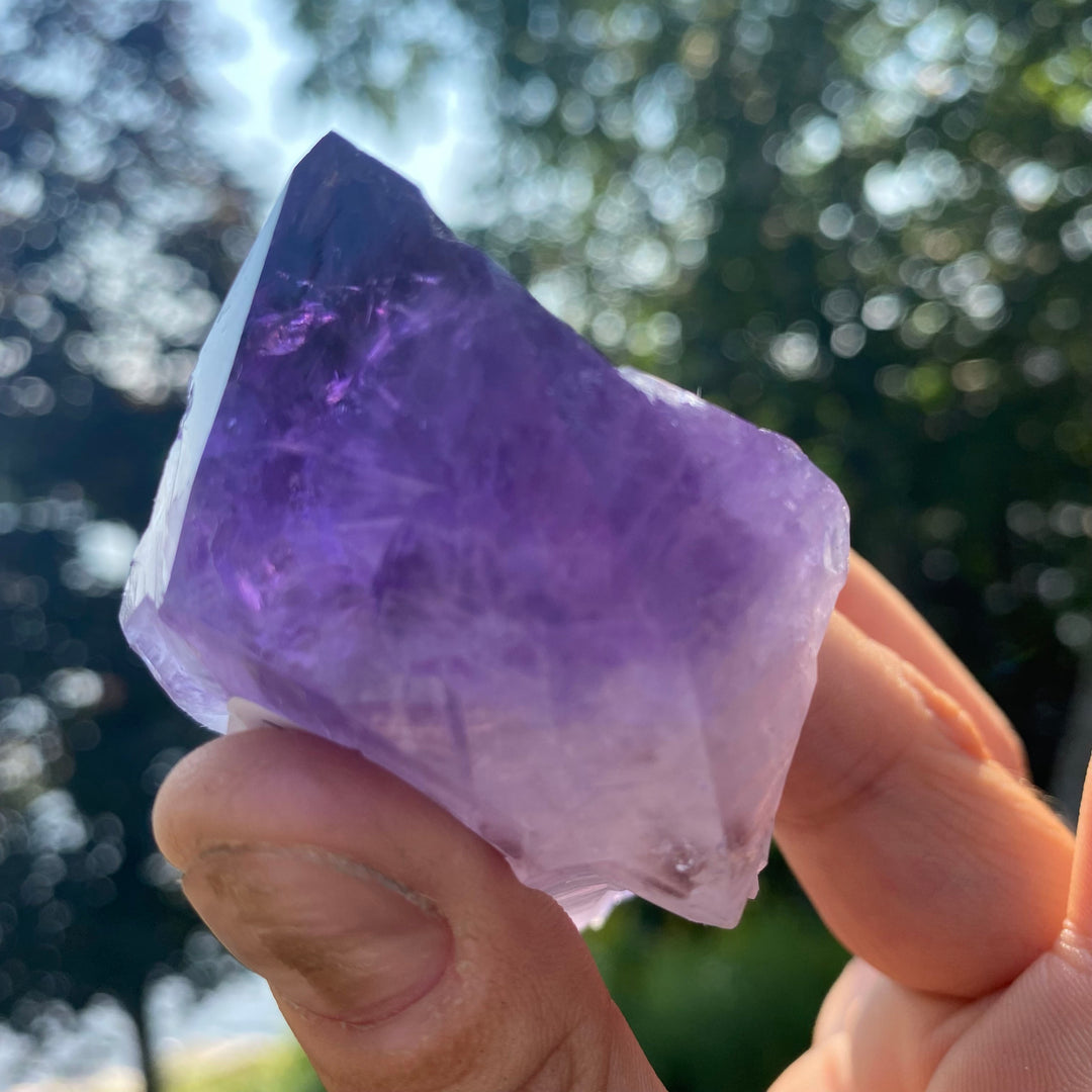 AAA Rough Amethyst Single Terminated Crystal (Item 11)