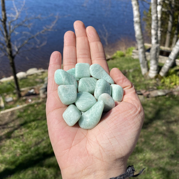 Amazonite Tumbled Healing Stones