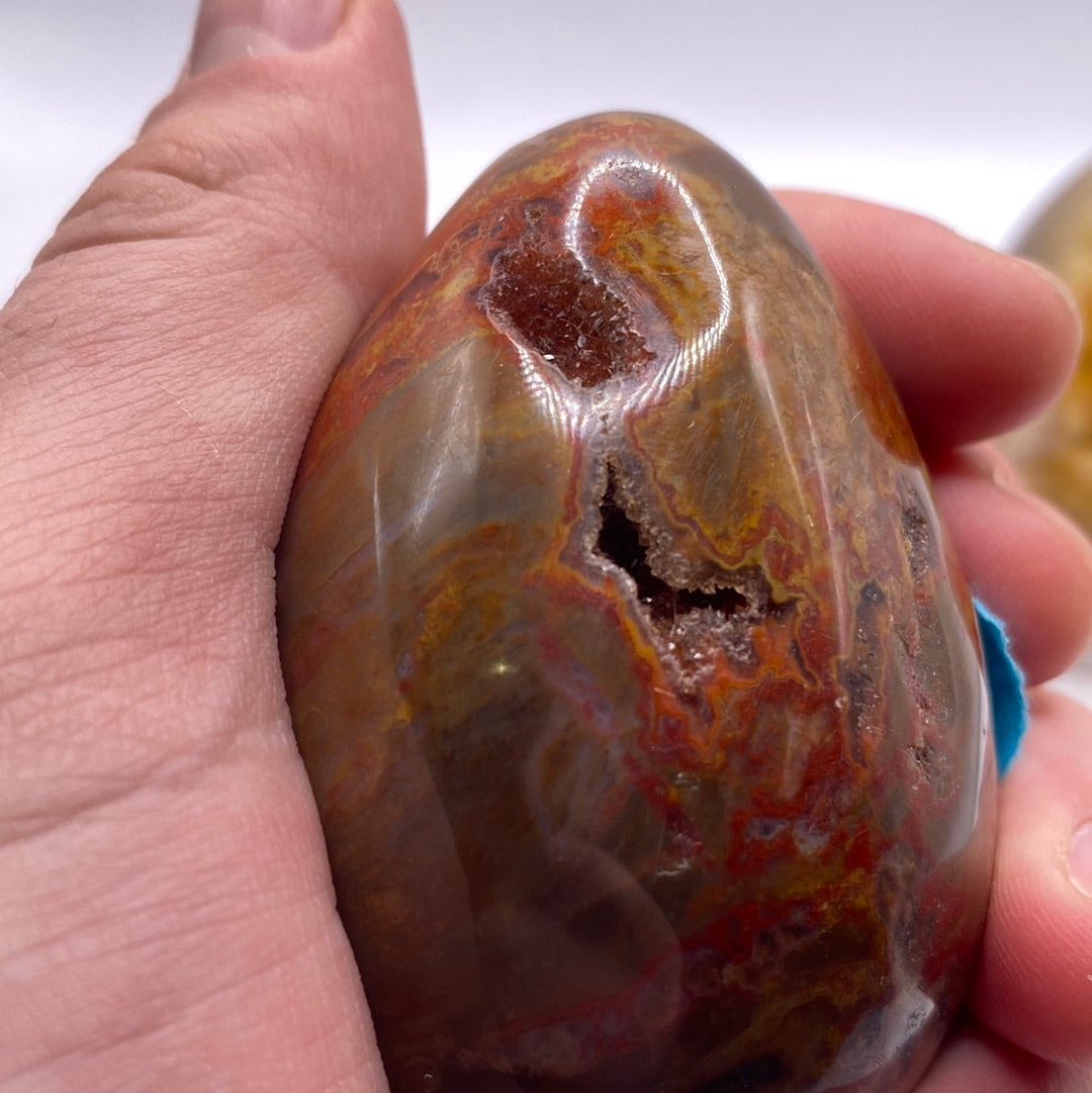 Petrified Wood Egg