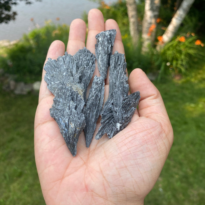 Black Kyanite Blades