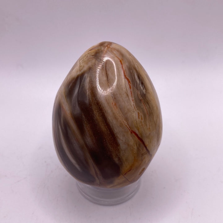 Petrified Wood Egg