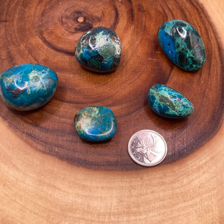 Chrysocolla Tumbled (M)