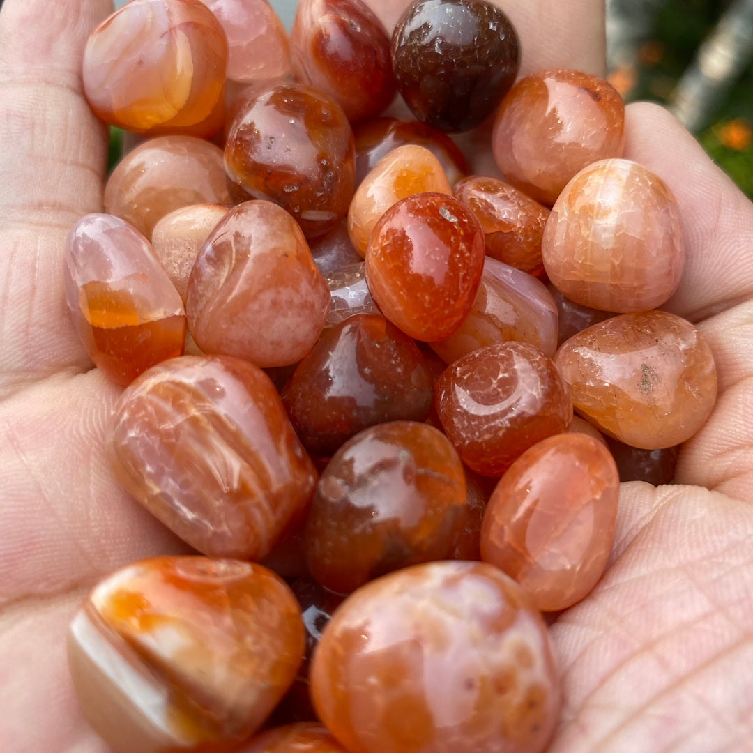 Carnelian Tumbled Healing Stones