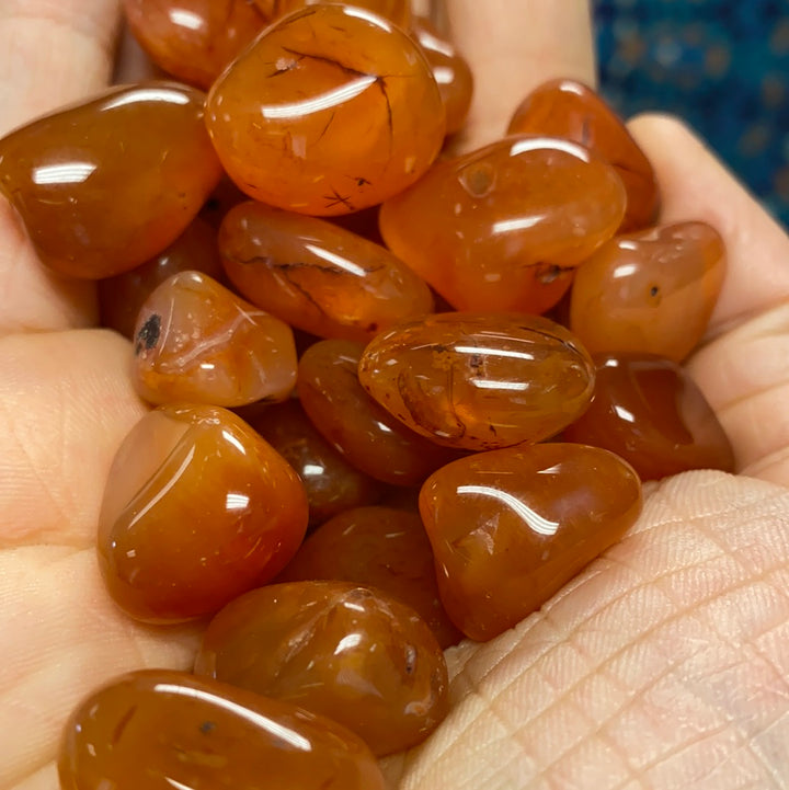 Carnelian Tumbled Healing Stones