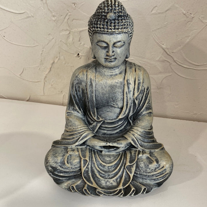 Meditating Buddha