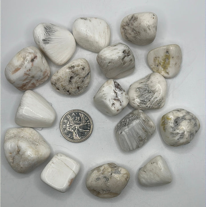 Scolecite Tumbled (M)