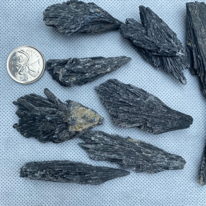 Black Kyanite Blades