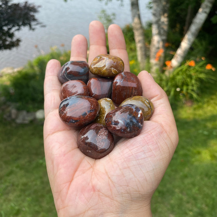 Petrified Wood Tumbled (M-L)