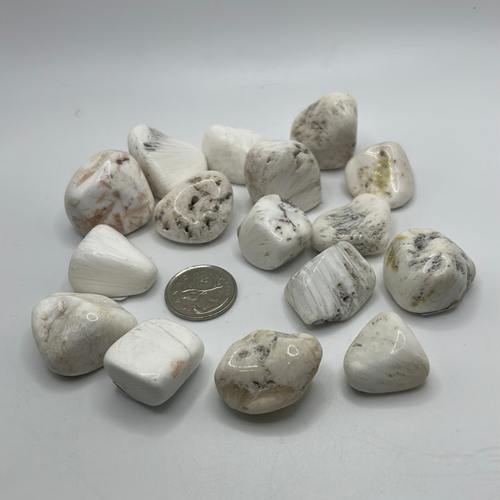 Scolecite Tumbled (M)