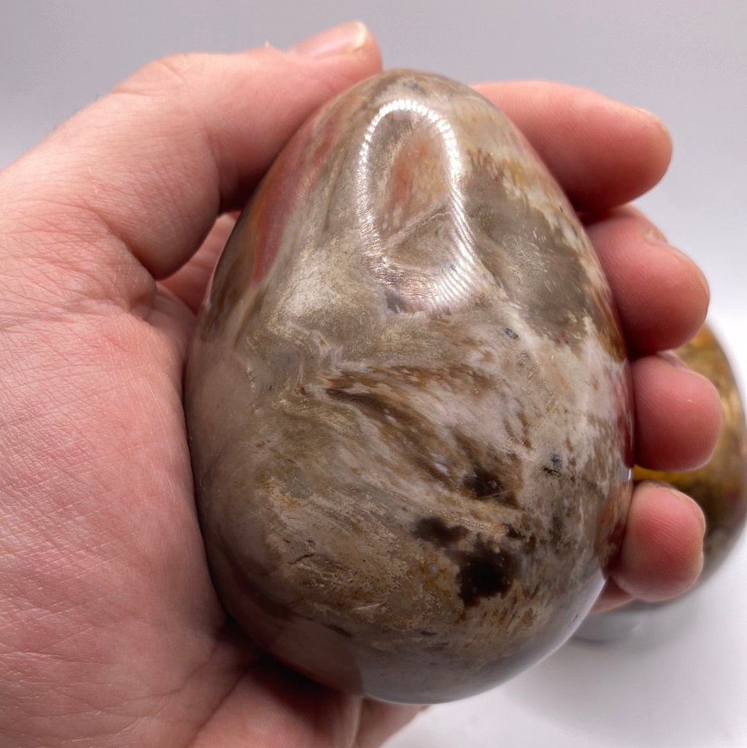 Petrified Wood Egg