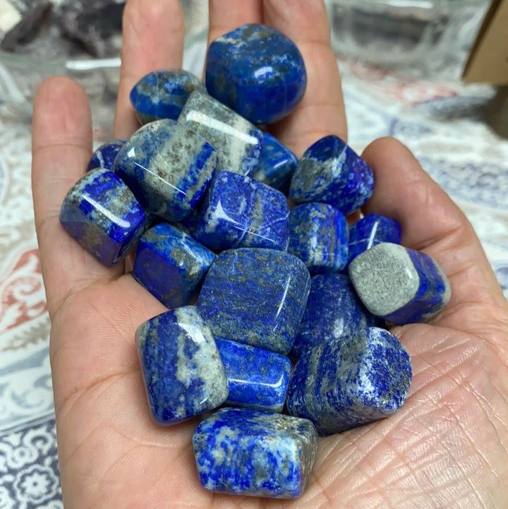 Lapis Lazuli Tumbled Healing Stones