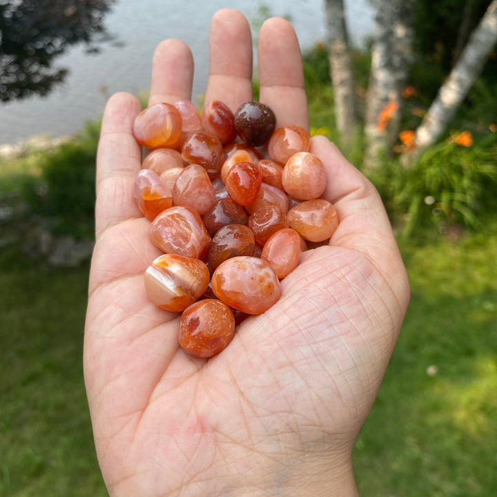 Carnelian Tumbled Healing Stones