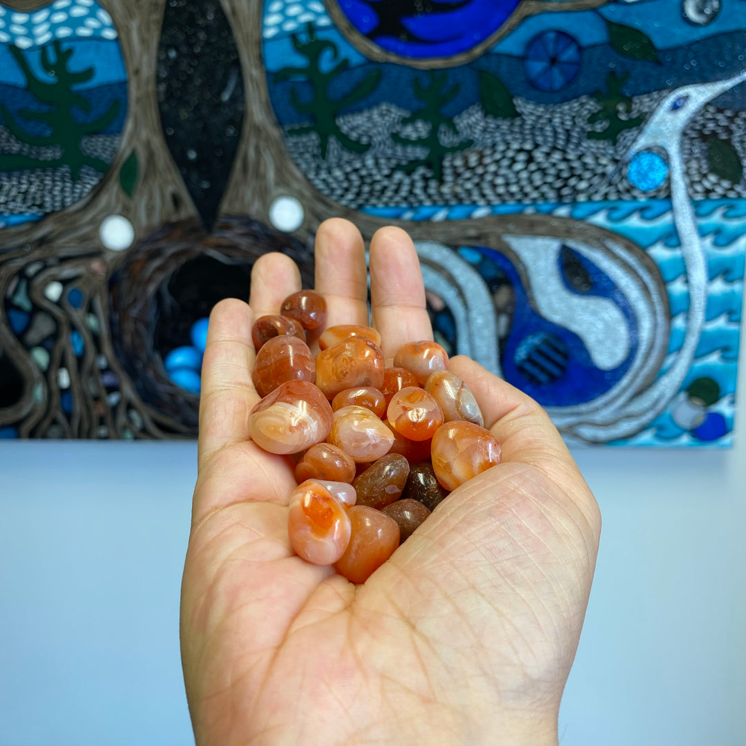 Carnelian Tumbled Healing Stones