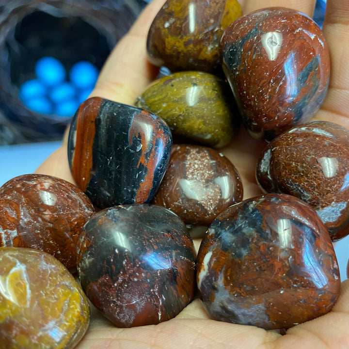 Petrified Wood Tumbled (M-L)