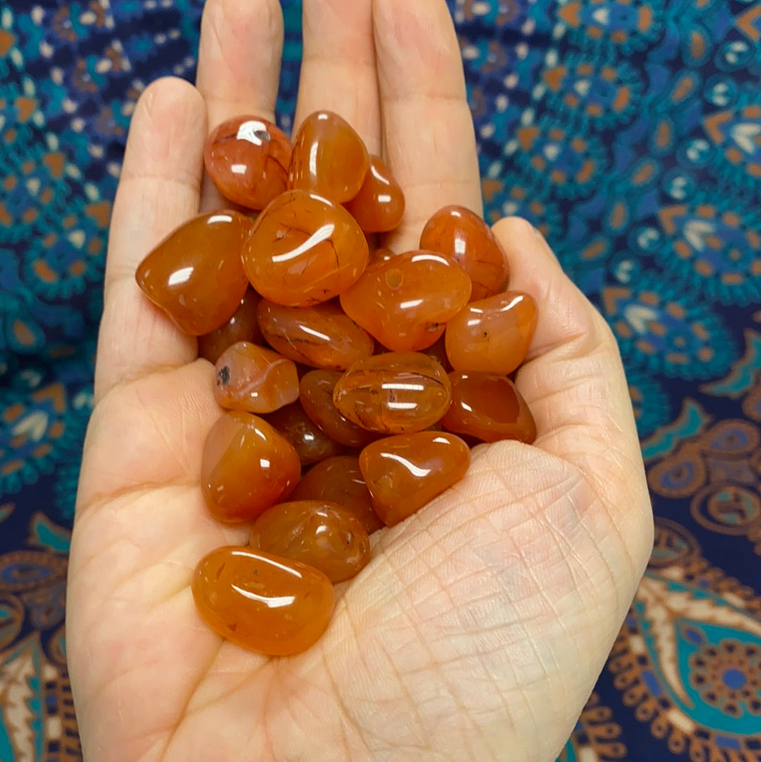 Carnelian Tumbled Healing Stones