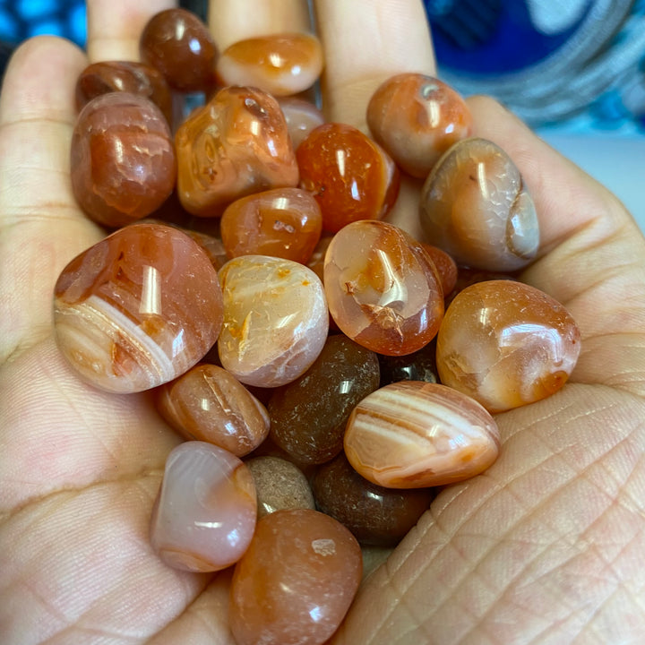 Carnelian Tumbled Healing Stones