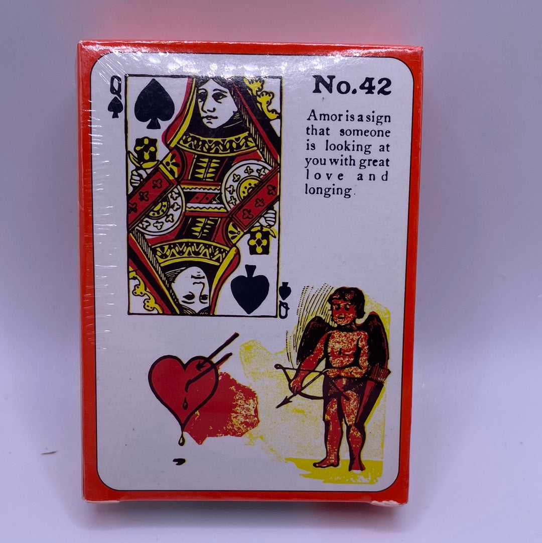 Gypsy Witch Fortune Telling Cards