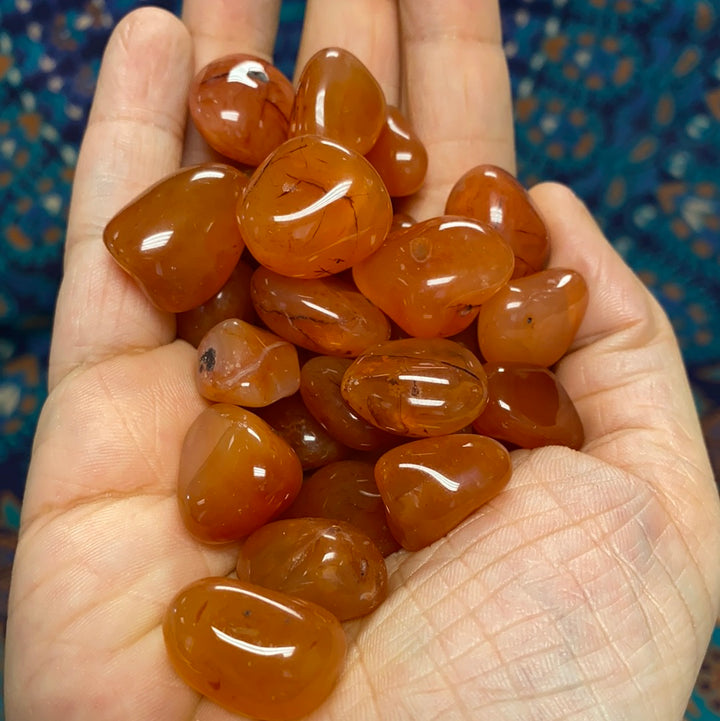 Carnelian Tumbled Healing Stones