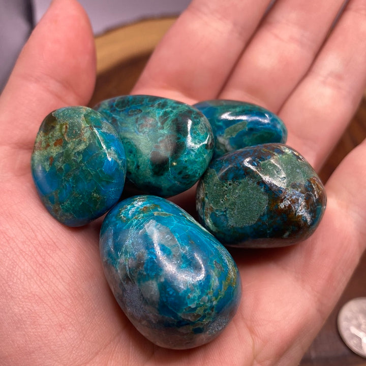 Chrysocolla Tumbled (M)