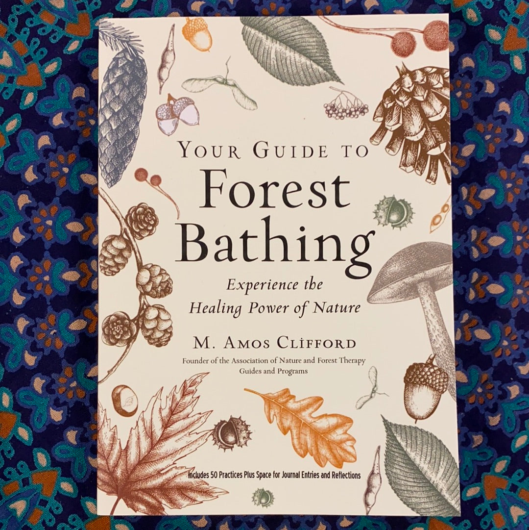 Your Guide To Forest Bathing, Expanded Edition