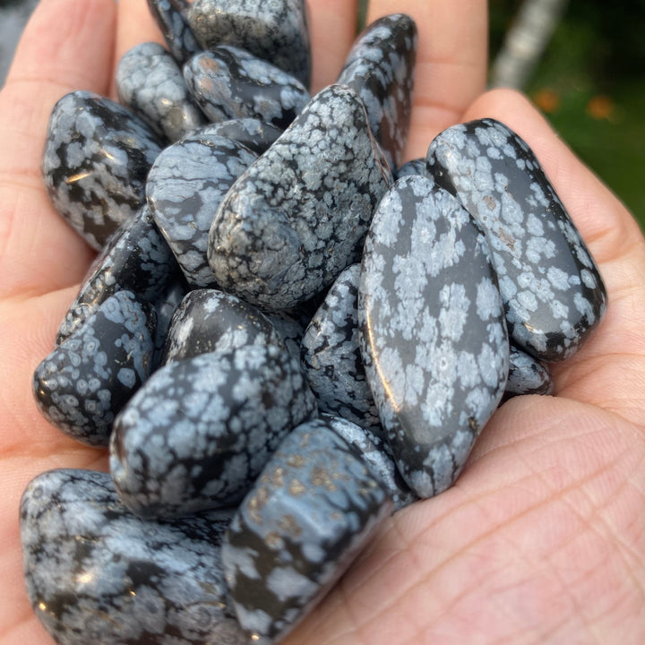 Snowflake Obsidian Tumbled Stones