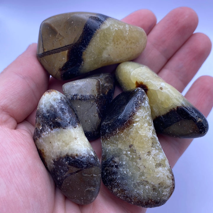 Septarian Tumbled XL