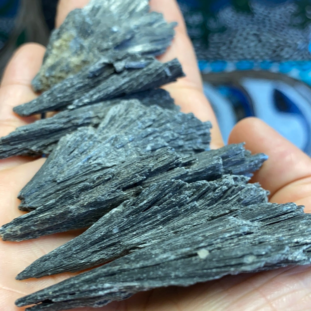 Black Kyanite Blades