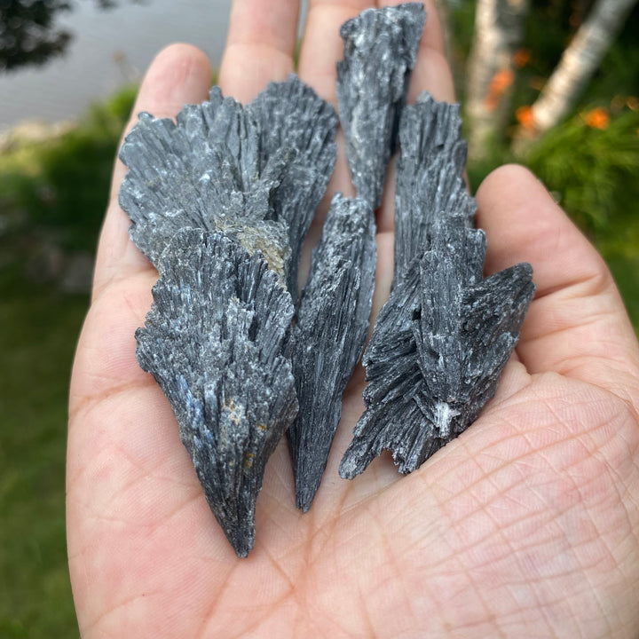 Black Kyanite Blades