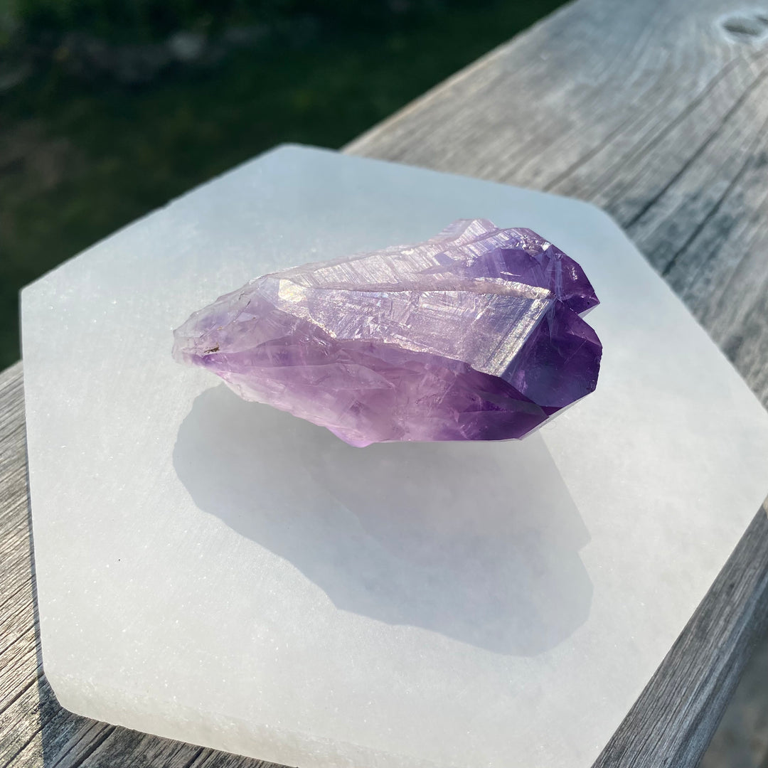 AAA Rough Amethyst Single Terminated Crystal (Item 10)