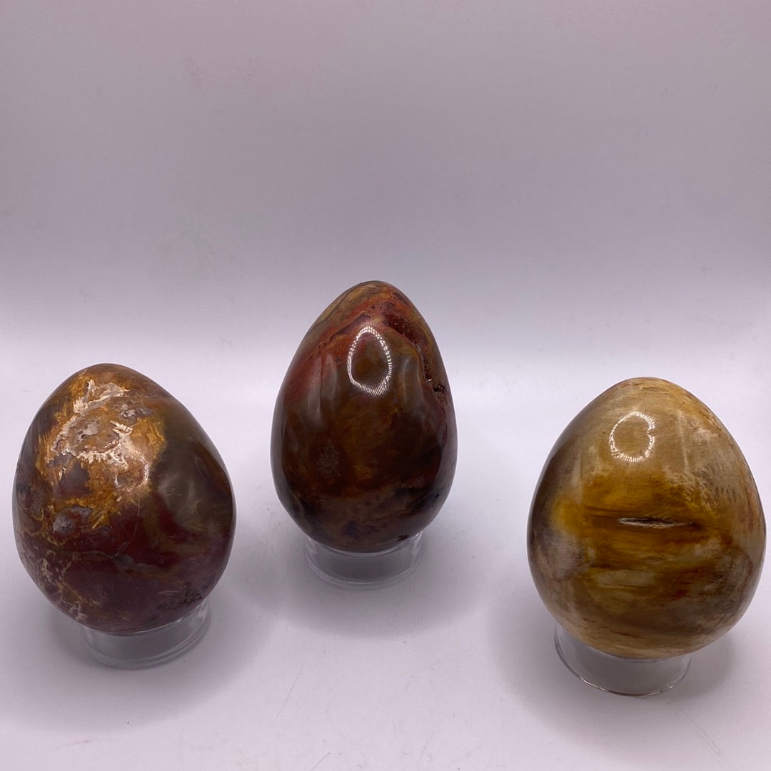 Petrified Wood Egg