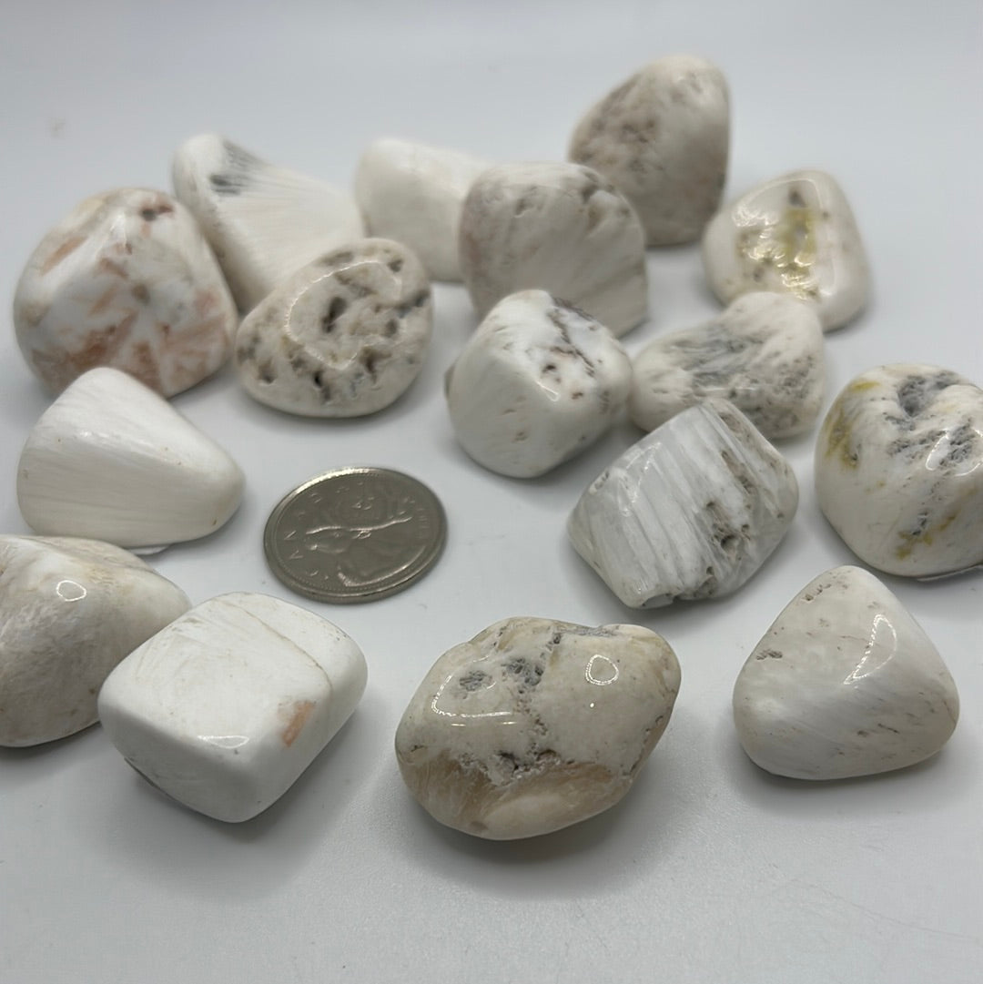 Scolecite Tumbled (M)