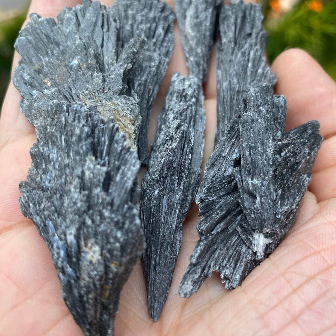 Black Kyanite Blades