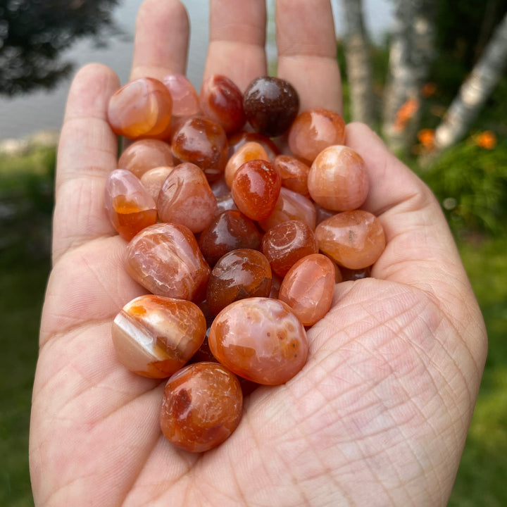 Carnelian Tumbled Healing Stones