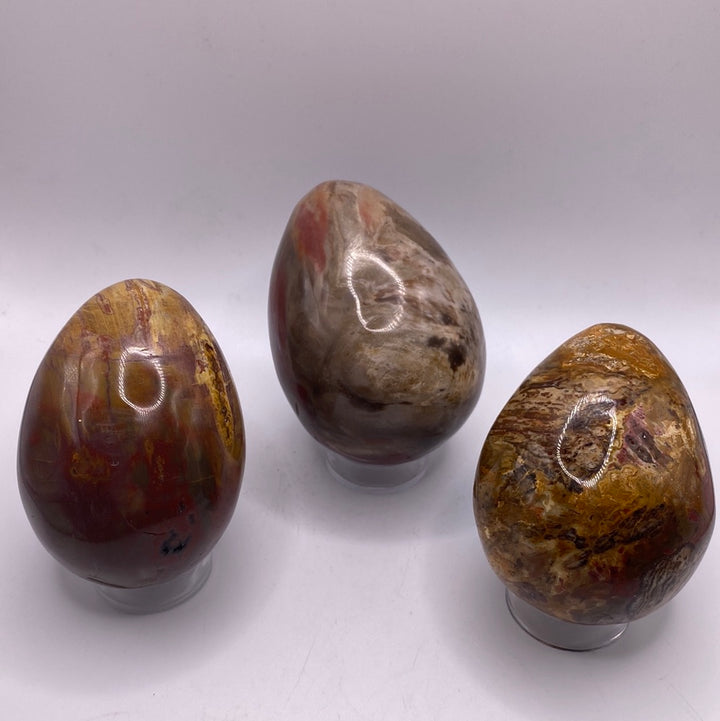 Petrified Wood Egg